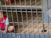 Mangapul Silalahi : Buka Suara mengenai hasil Penyelidikan Komnas HAM