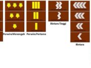 Inilah 22 Tanda Pangkat di Polri dari Tertinggi ke Terendah