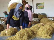 Pandangan Kemenkumhan Terkait RPP Kesehatan dan Larangan Tembakau