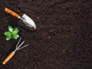 Tanggung Jawab Negara Dalam Pemberantasan Mafia Tanah