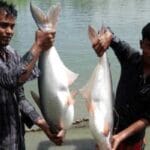 eyjhbgwionsibwfyz2lulxrvcci6ijmwin19