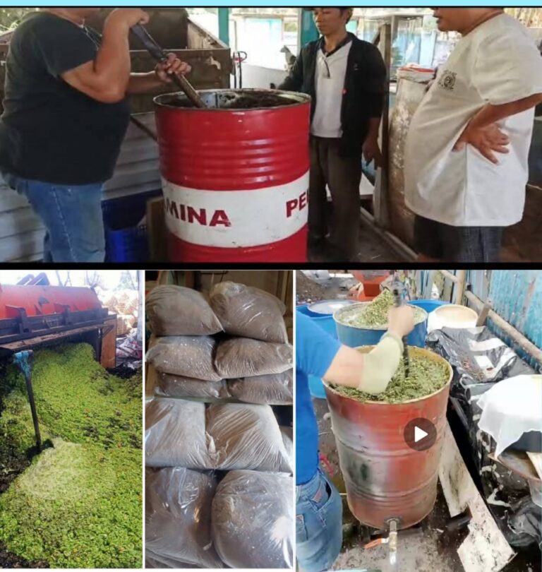 Pengolahan Sampah Organik Menjadi Pupuk dan Material Bangunan