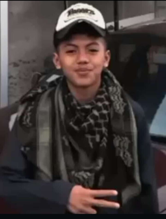Fauzi_alm