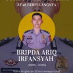 WhatsApp Image 2025-11-01 at 22.17.41