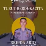 WhatsApp Image 2025-11-01 at 22.30.18