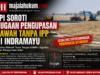 Disorot FPI, Dugaan Pengupasan Sawah di Desa Curug Indramayu Dipertanyakan