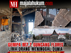 Gempa M7,7 Guncang Flores, Lima Orang Dilaporkan Meninggal Dunia, Bangunan Roboh