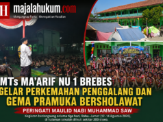 MTs Ma’arif NU 1 Brebes Gelar Perkemahan Penggalang dan Gema Pramuka Bersholawat