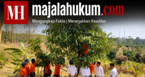 Sekolah Lapang GAP Mangga Gedong Gincu Tingkatkan Pengetahuan Petani Ujungjaya